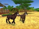 Náhled k programu Zoo Tycoon 2 Extinct Animals